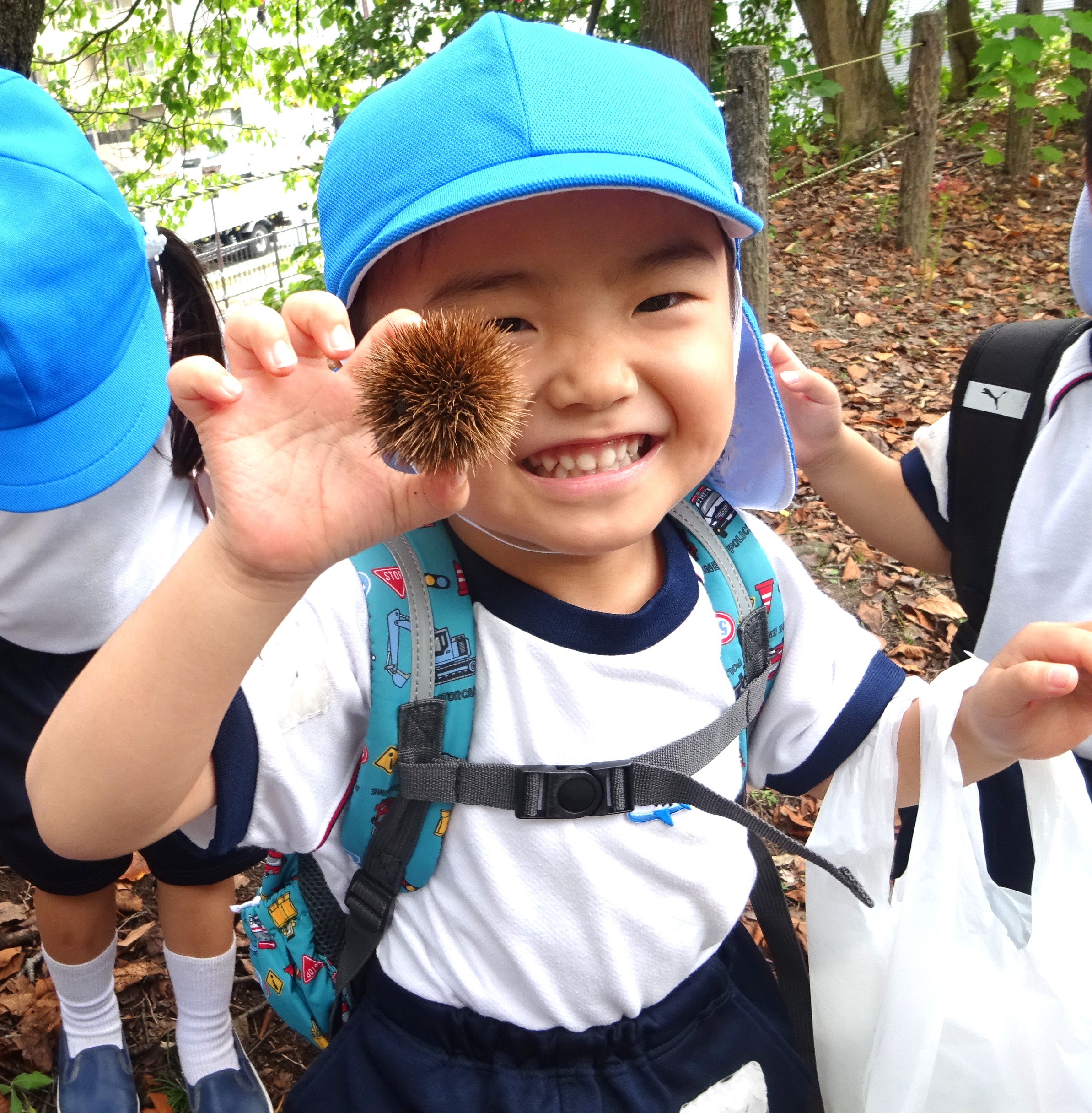 年少さん 秋の遠足 | 学校法人 静岡精華学園 静岡精華幼稚園